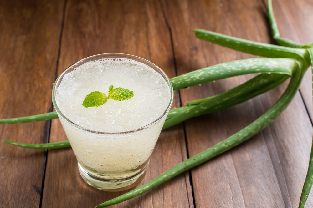 Suco de babosa: 12 benefícios maravilhosos do suco de aloe vera