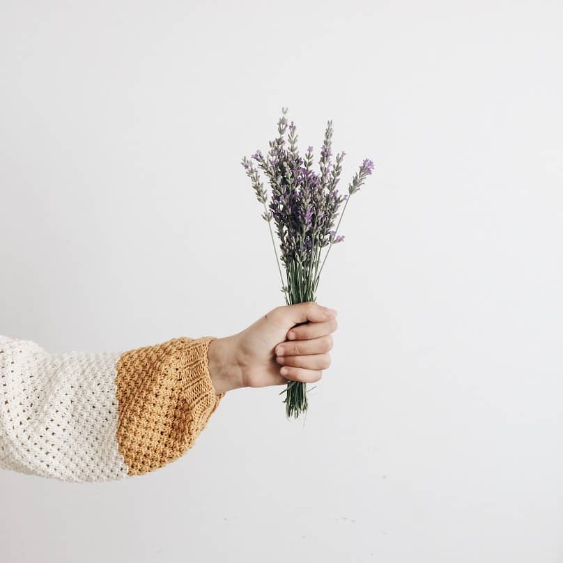 Óleo essencial de lavanda: descubra os poderes para o seu corpo e mente